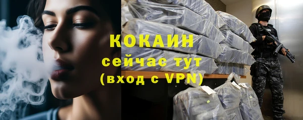ГАЛЛЮЦИНОГЕННЫЕ ГРИБЫ Новозыбков