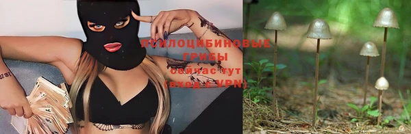 ГАЛЛЮЦИНОГЕННЫЕ ГРИБЫ Новозыбков