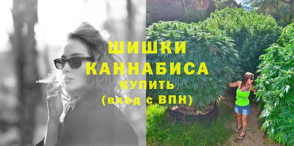 стаф Новодвинск