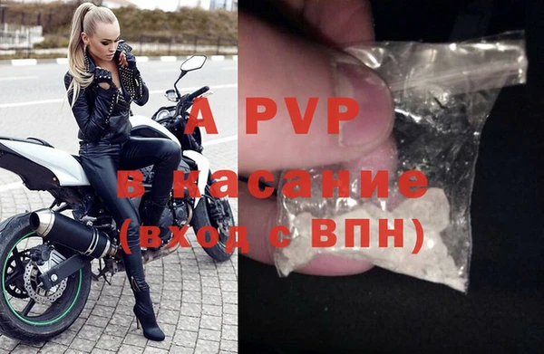 стаф Новодвинск