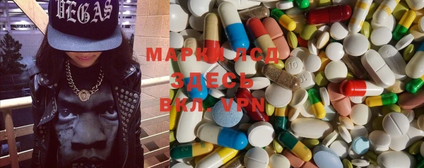 ГАЛЛЮЦИНОГЕННЫЕ ГРИБЫ Новозыбков