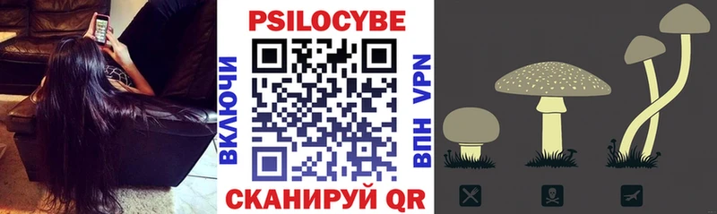 Псилоцибиновые грибы Psilocybe  хочу наркоту  Белая Калитва 